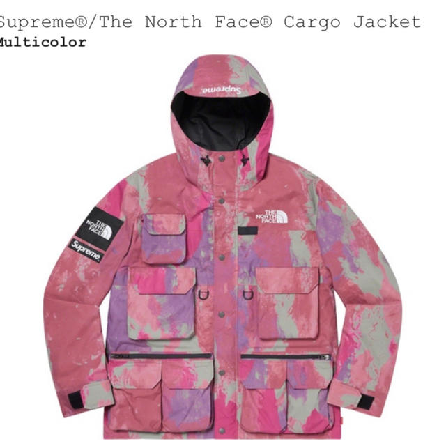 Supreme - Supreme®/The North Face® Cargo Jacket