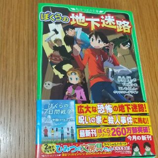 ぼくらの地下迷路(絵本/児童書)