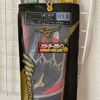 ミズノ(MIZUNO)のミズノプロ　バッティンググローブ(野球)