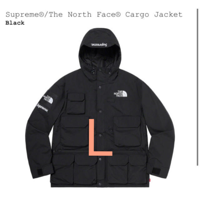 Supreme The North Face Cargo Jacket L