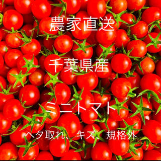 ミニトマト 1キロ ニコニコ様専用(野菜)