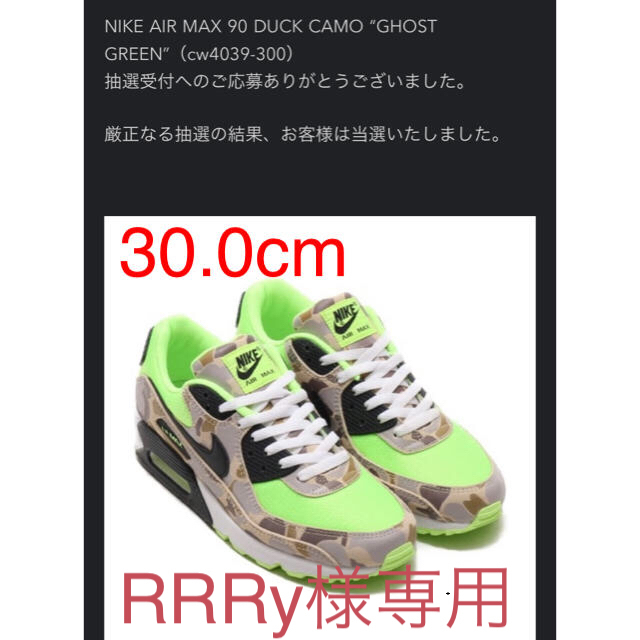 NIKE(ナイキ)のNIKE AIR MAX 90 DUCK CAMO “GHOST GREEN” メンズの靴/シューズ(スニーカー)の商品写真