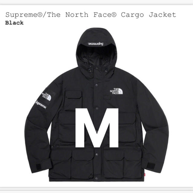 Supreme®/The North Face® Cargo Jacket