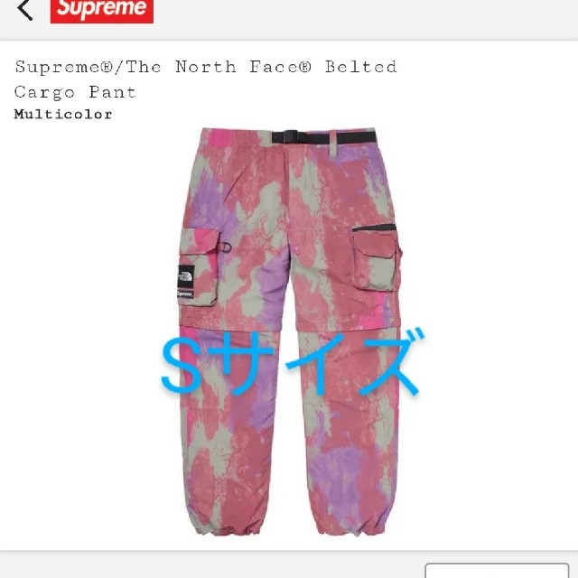 Supreme The North Face Belted Cargo Pant