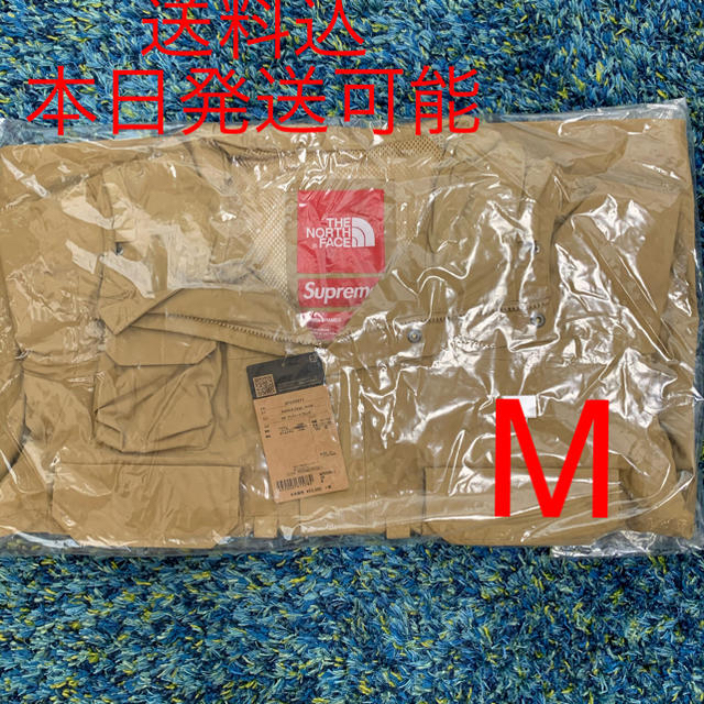 Supreme®/The North Face® Cargo Jacket