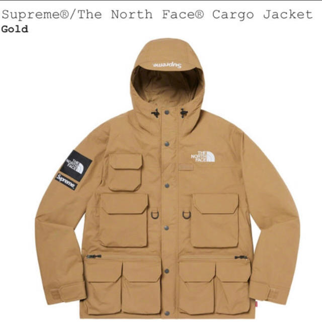 Supreme®/The North Face® Cargo Jacket