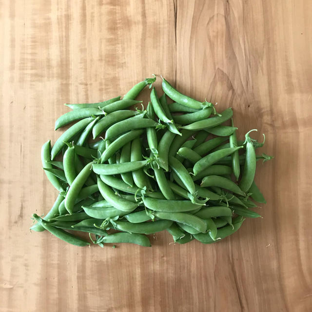 スナップエンドウ 食品/飲料/酒の食品(野菜)の商品写真