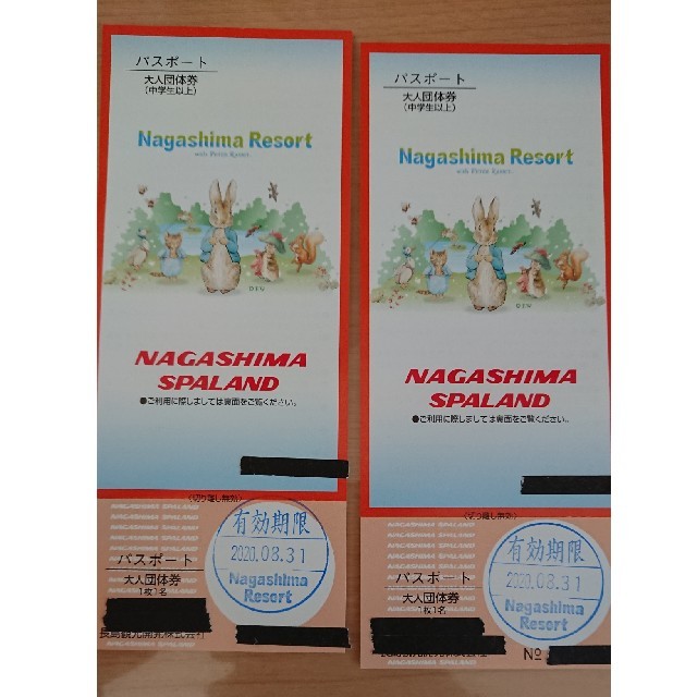 値下げ】ナガシマスパーランド 大人ペアパスポート - 遊園地/テーマパーク