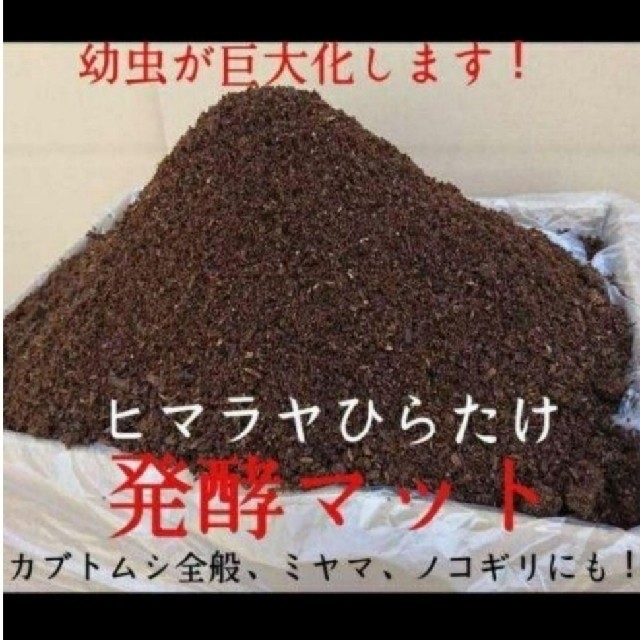 幼虫が巨大化する栄養価抜群のヒマラヤひらたけ菌床発酵カブトムシマットの出品です その他のペット用品(虫類)の商品写真