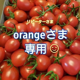 ２㎏ orangeさま専用です☺️ ミニトマト(野菜)