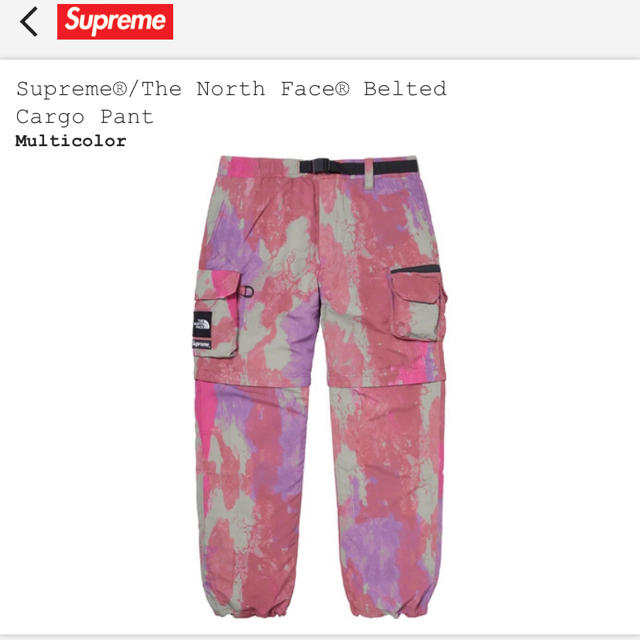 Supreme(シュプリーム)のsupreme tnf belted cargo pant mサイズ メンズのパンツ(ワークパンツ/カーゴパンツ)の商品写真
