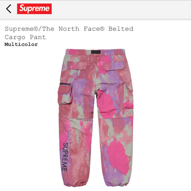 Supreme(シュプリーム)のsupreme tnf belted cargo pant mサイズ メンズのパンツ(ワークパンツ/カーゴパンツ)の商品写真