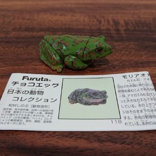 フルタセイカ(フルタ製菓)のチョコエッグ 日本の動物コレクション(フィギュア)