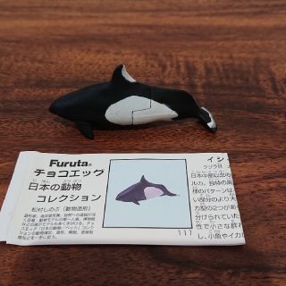 フルタセイカ(フルタ製菓)のチョコエッグ 日本の動物コレクション(フィギュア)