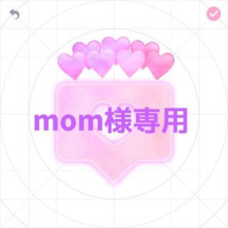 mom様専用(その他)