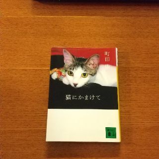 猫にかまけて(文学/小説)