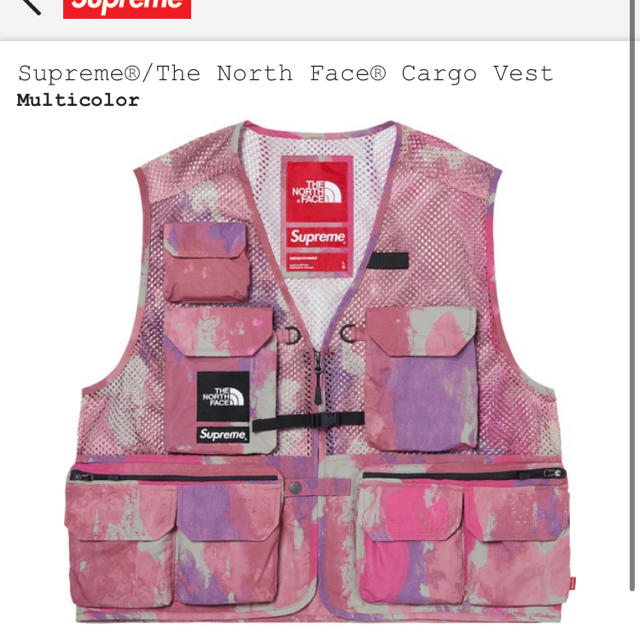 supreme × the north face cargo vest