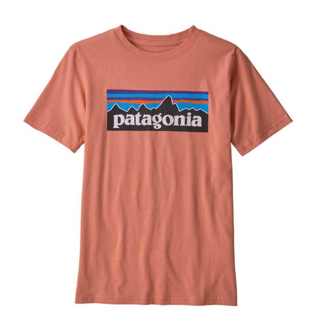 patagonia(パタゴニア)のパタゴニア  キッズTシャツ　サイズXXL キッズ/ベビー/マタニティのキッズ服男の子用(90cm~)(Tシャツ/カットソー)の商品写真