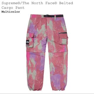 シュプリーム(Supreme)のSupreme The North Face   Belted Cargo (ワークパンツ/カーゴパンツ)