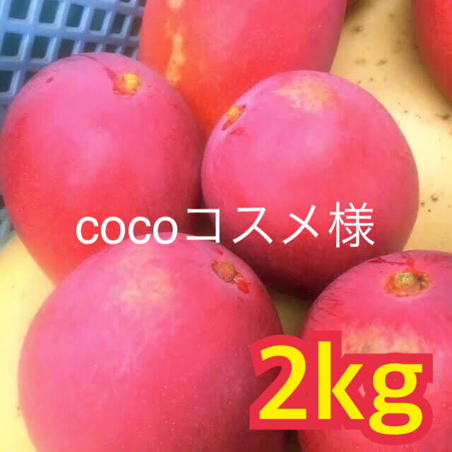食品/飲料/酒宮崎県産 完熟マンゴー 自家用 2~2.3kg