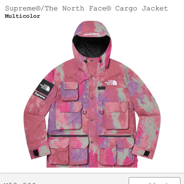 Supreme - 【最安】supreme the north  face cargo jacket