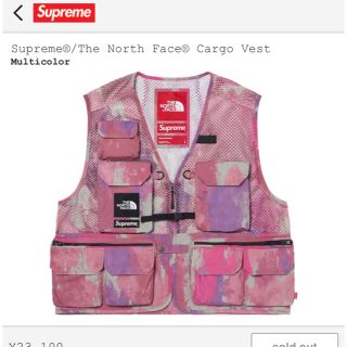 シュプリーム(Supreme)のSupreme®/The North Face® Cargo Vest  L(ベスト)