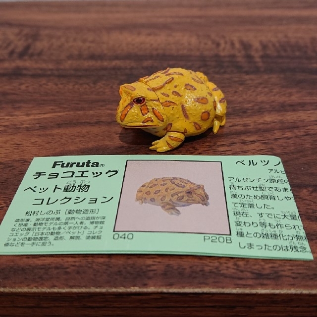 フルタ製菓(フルタセイカ)のチョコエッグ ペット動物コレクション ハンドメイドのおもちゃ(フィギュア)の商品写真