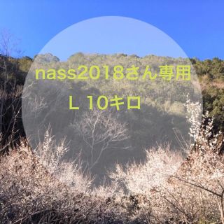 nassさん専用 無農薬南高梅 L10キロ(フルーツ)