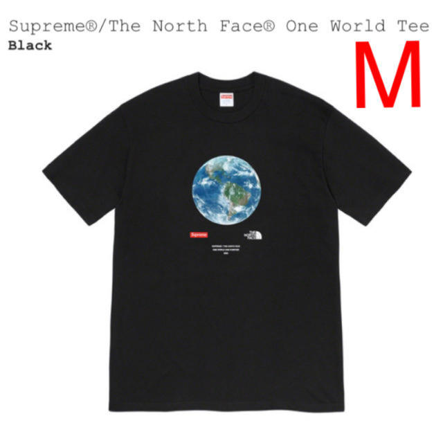 トップスSupreme / The North Face One World Tee M