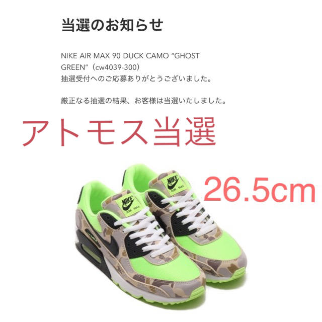 NIKE AIR MAXナイキ エアマックス 90 グリーンカモ  26.5265cm状態