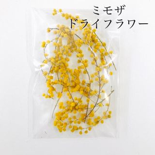 ミモザ ドライフラワー 花材(ドライフラワー)