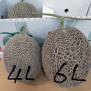 これ大きすぎでしょ‼数量限定!熊本県産肥後グリーン大玉6Lサイズ2玉セット‼(フルーツ)