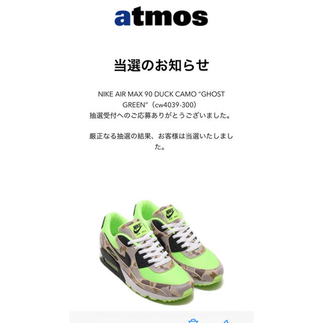 NIKE  エアマックス90 Green camo 28cm