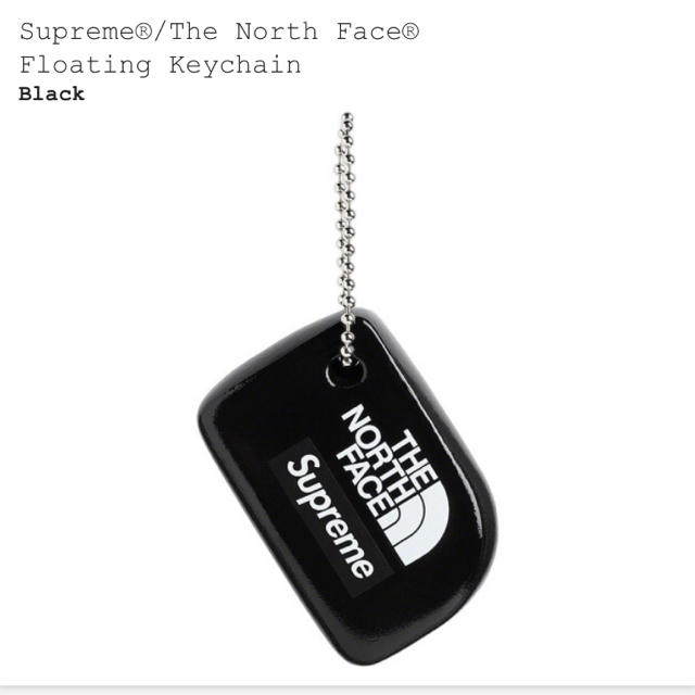 Supreme The North Face Floating Keychain