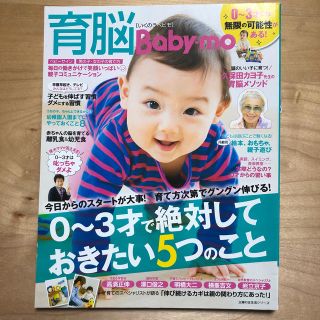 シュフトセイカツシャ(主婦と生活社)の育脳Ｂａｂｙ－ｍｏ ０～３才で絶対しておきたい５つ(結婚/出産/子育て)