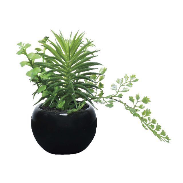 日本製〇〇観葉植物/フェイクグリーン 【ミックス インポット】 高さ15cm | フリマアプリ ラクマ