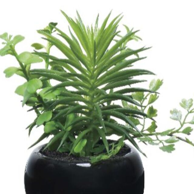 日本製〇〇観葉植物/フェイクグリーン 【ミックス インポット】 高さ15cm
