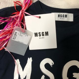 エムエスジイエム(MSGM)の⭐︎限定値下げ中⭐︎MSGM Tシャツ　ネイビー Sサイズ(Tシャツ(半袖/袖なし))