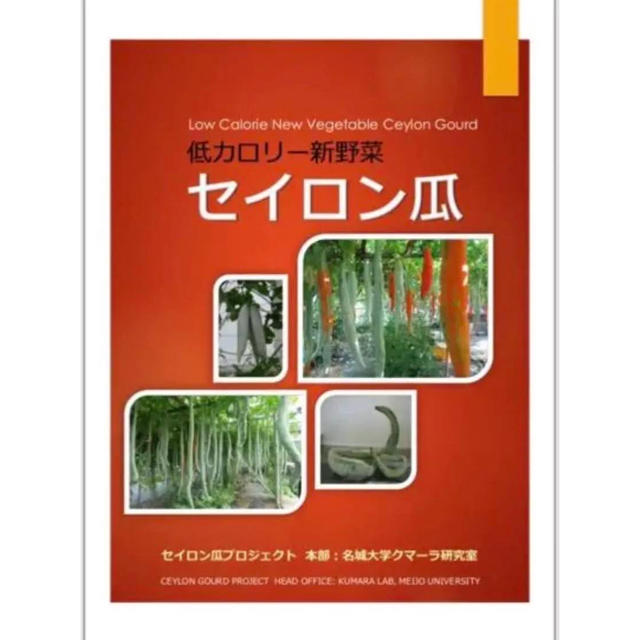 セイロン瓜　テキストと種　10粒　⑤ 食品/飲料/酒の食品(野菜)の商品写真