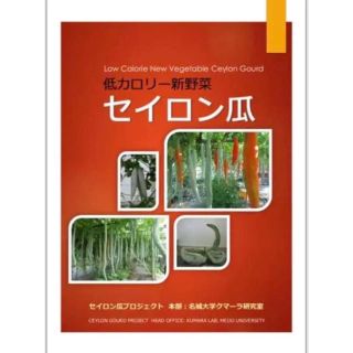 セイロン瓜　テキストと種　10粒　⑤(野菜)