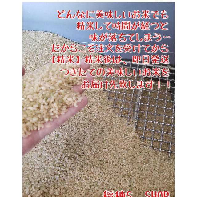 即日発送】佐賀県産　米/穀物　特A　夢しずく　白米20kg　取得米