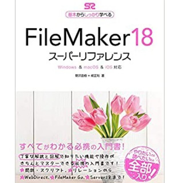 File Maker18 解説書 エンタメ/ホビーの本(語学/参考書)の商品写真