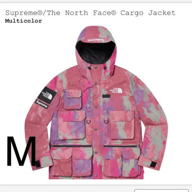 Supreme  The North Face Cargo Jacket  M
