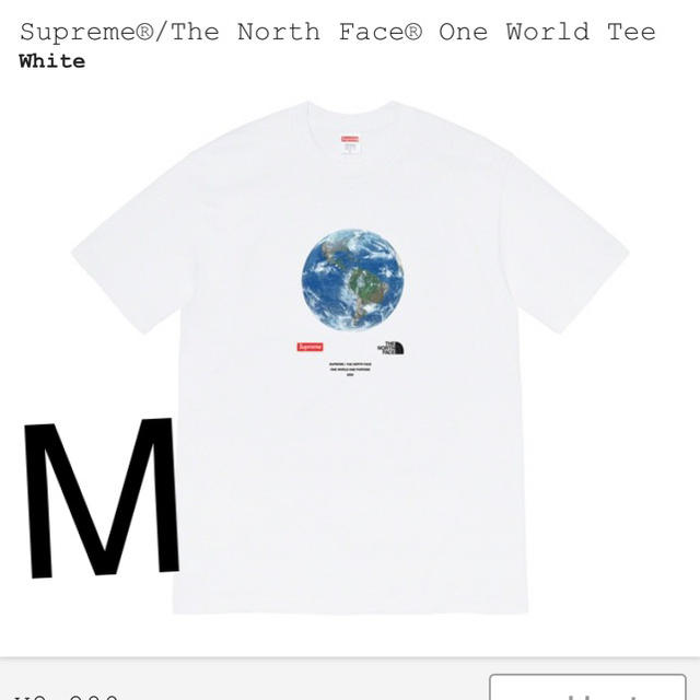 Supreme®/The North Face® One World Tee MTシャツ/カットソー(半袖/袖なし)