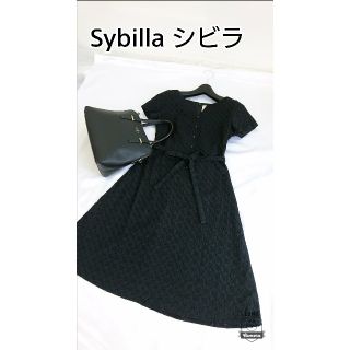 シビラ(Sybilla)の美品♪(M) Sybilla シビラ  コットンワンピース(ひざ丈ワンピース)