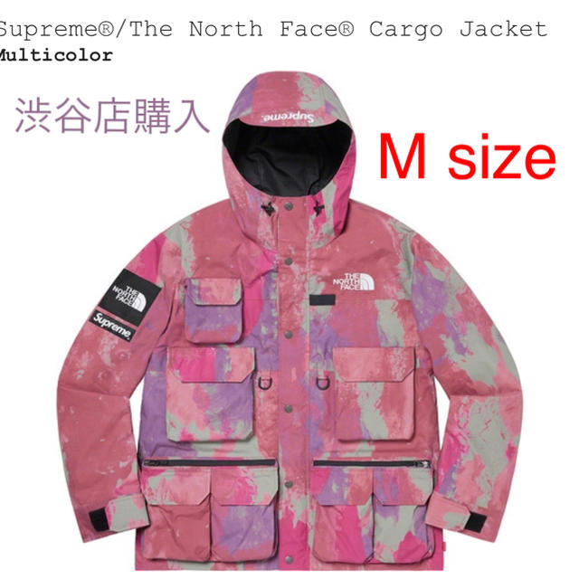 supreme the north face cargo jacket Mマウンテンパーカー