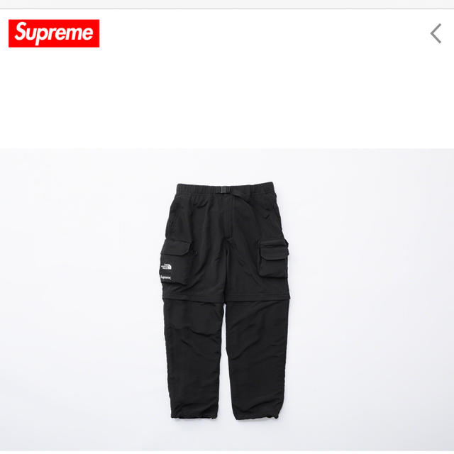 Supreme The North Face Belted Cargo Pant