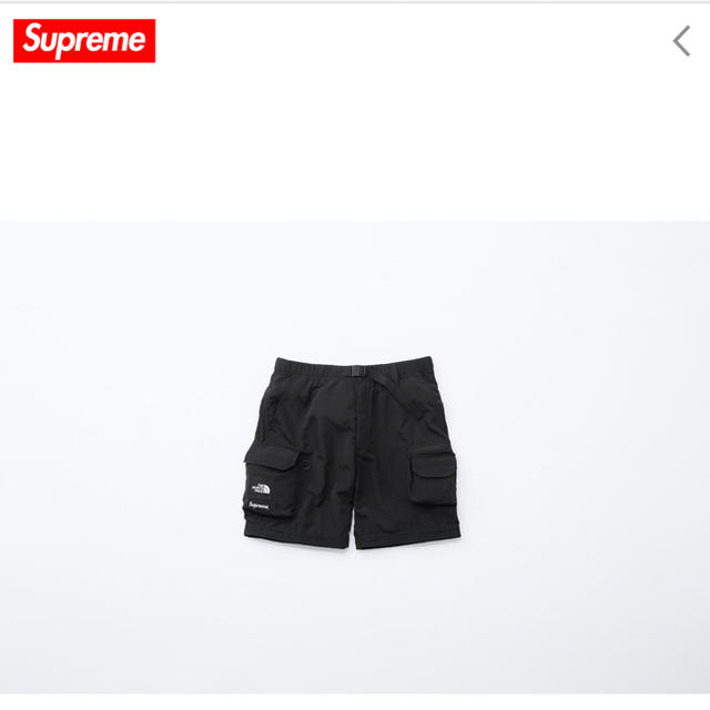 Supreme(シュプリーム)のSupreme The North Face Belted Cargo Pant メンズのパンツ(ワークパンツ/カーゴパンツ)の商品写真