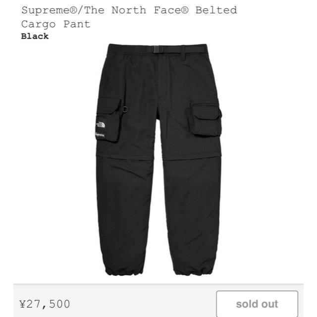 Supreme - the north face/supreme cargo pants