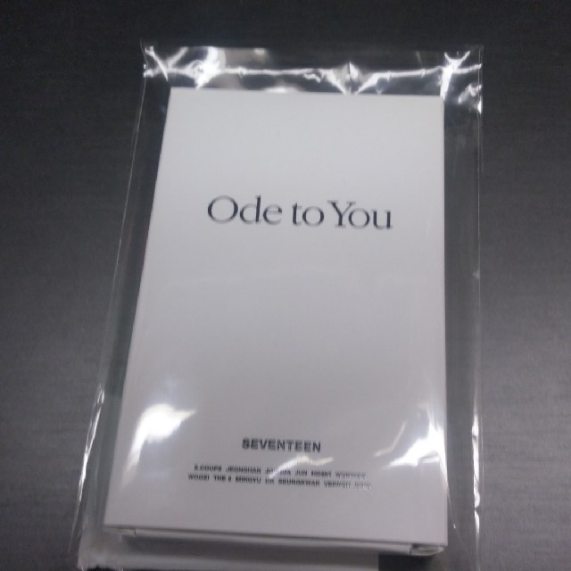 春夏秋冬おさんぽシリーズ E seventeen Ode to You ソウル フォト